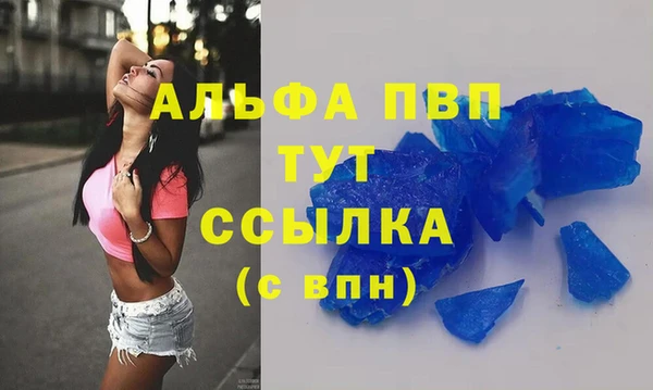 эйфоретик Беломорск