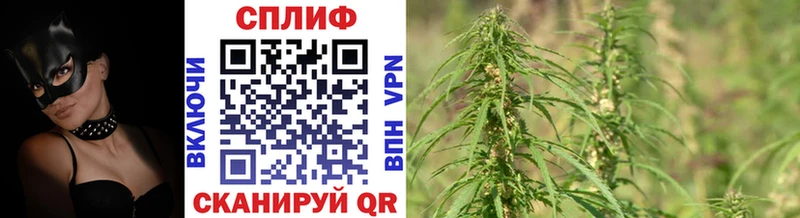 хочу   Весьегонск  Каннабис SATIVA & INDICA 